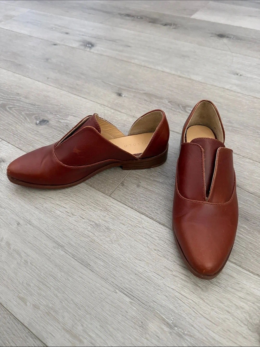 Nisolo chestnut brown
